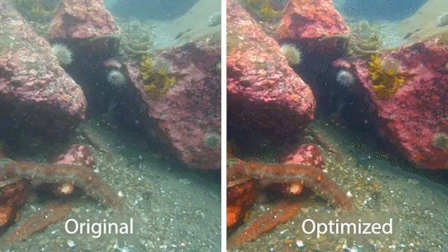 Auto White Balance Auto White Balance