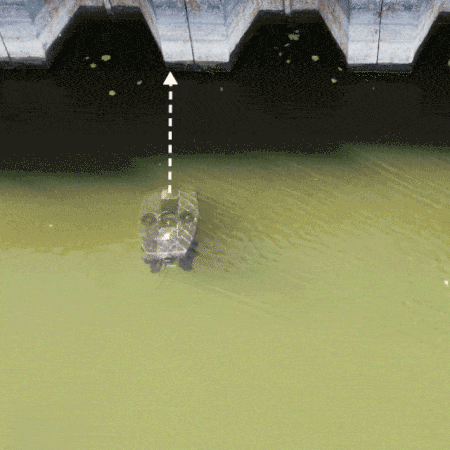 Automatic Distance Lock